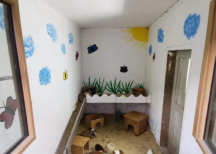 Hartl Hof Appartamento *